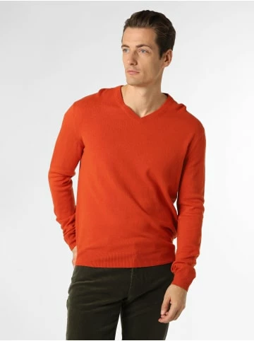 Coupon ✔️ Bekleidung Andrew James Andrew James In Orange Günstig Kaufen ⌛ 2 Coupon ✔️ Bekleidung Andrew James Andrew James In Orange Günstig Kaufen ⌛ – Bild 2