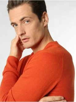 Coupon ✔️ Bekleidung Andrew James Andrew James In Orange Günstig Kaufen ⌛ 7 Coupon ✔️ Bekleidung Andrew James Andrew James In Orange Günstig Kaufen ⌛ -Andrew Verkaufsladen andrew james andrew james in orange 3